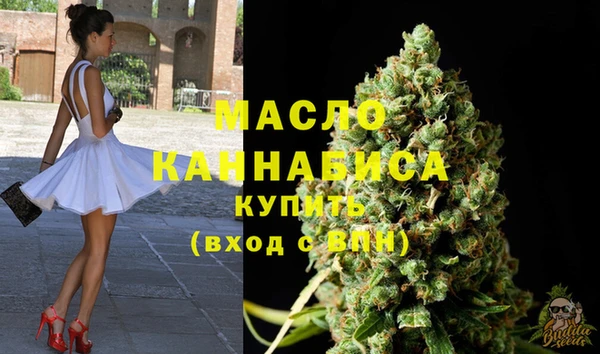 jwh Снежногорск