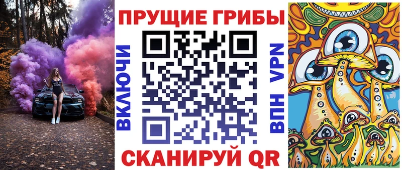 Псилоцибиновые грибы мицелий  Георгиевск 