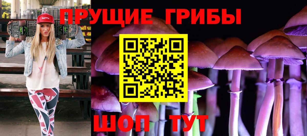 Псилоцибиновые грибы Psilocybe  Галлюциногенные грибы MAGIC MUSHROOMS  Георгиевск 