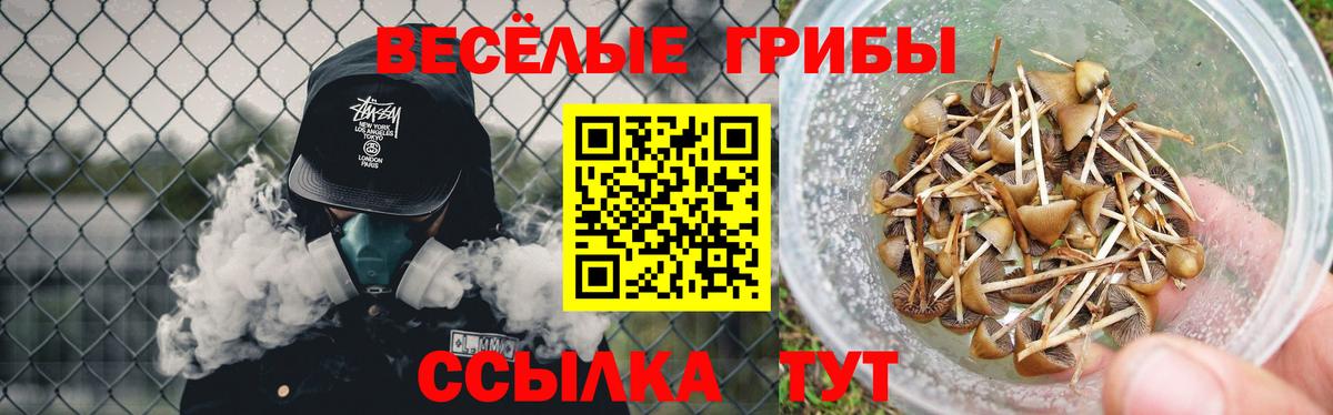 Галлюциногенные грибы Cubensis Георгиевск