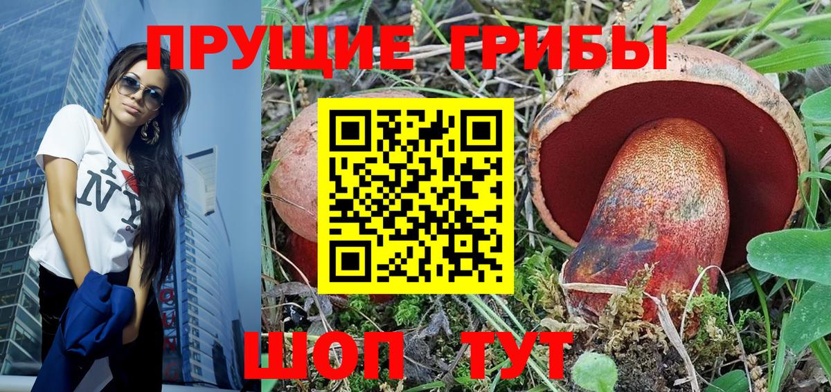 Георгиевск  Псилоцибиновые грибы мицелий  Вход с VPN 